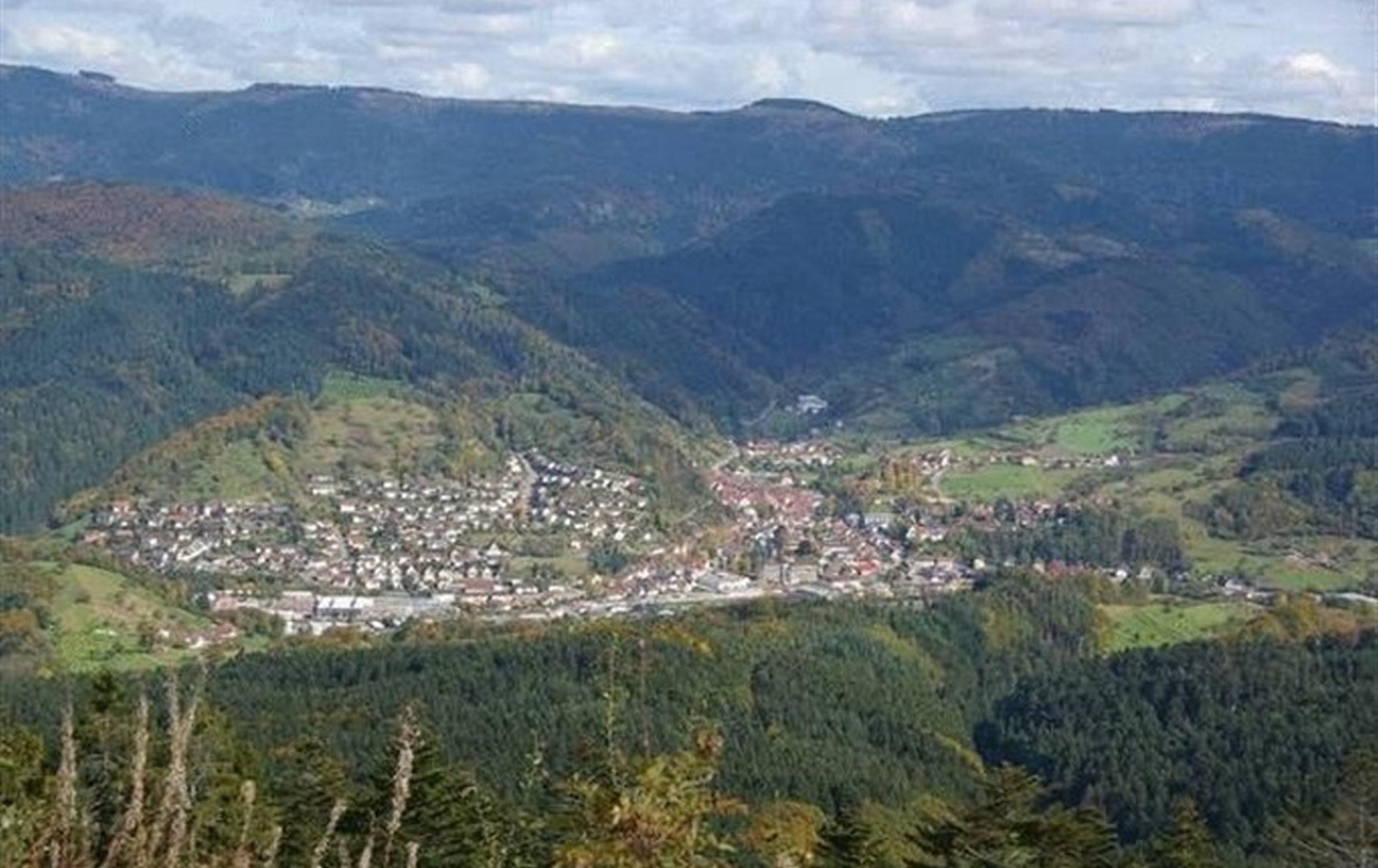 Gasthaus Finken Oppenau Exterior foto